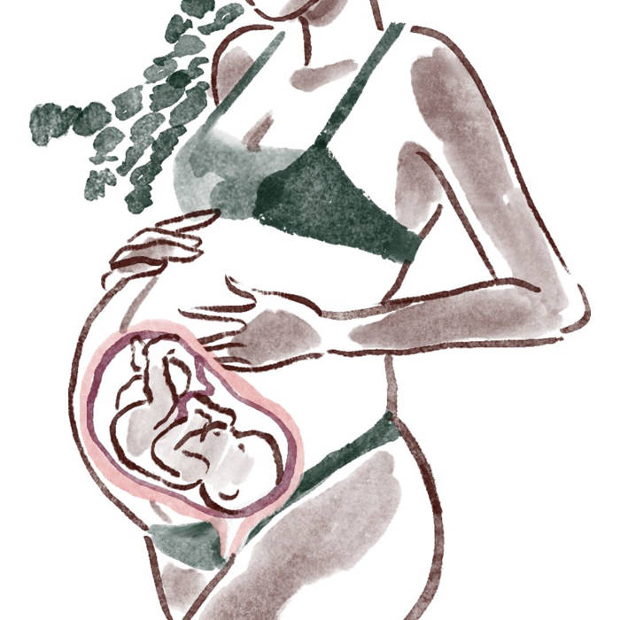 El embarazo contado por el feto